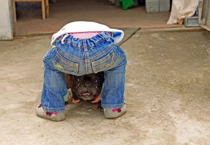 Gambar-Gambar Perfect Timing Ini Bikin Mata Kerja Lebih Keras